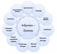 Adipositas_Uebersichtsgrafik Adipositas_Uebersichtsgrafik